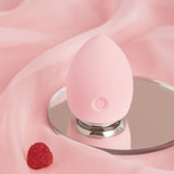 Electronic Cleansing Egg Electric Makeup Egg Wet Dry Makeup Egg